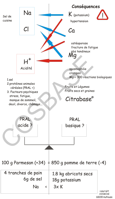 La balance  acido - basique (c) copyright COSBASE